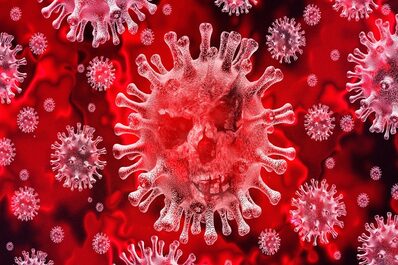 Coronavirus, nessun caso di infezione in Italia