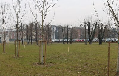 Ogni palo corrisponde a un albero che verrà piantato