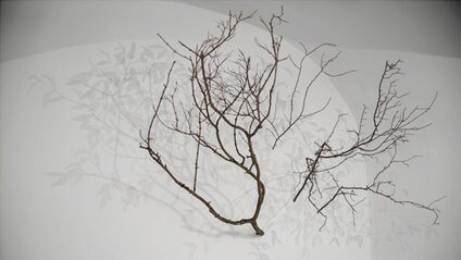 03 - Trees 