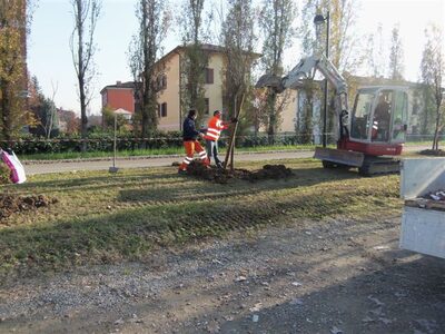 L'impianto di alcuni alberi nell'area del Policlinico