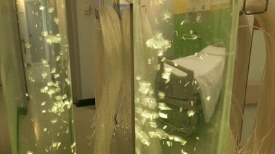 La Snoezelen nella Geriatria dell'Ospedale Civile di Baggiovara