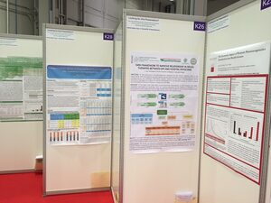 Poster Drugs Therapies