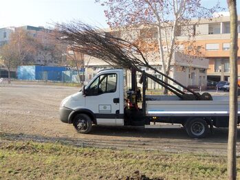 Lavori di riqualificazione al Policlinico