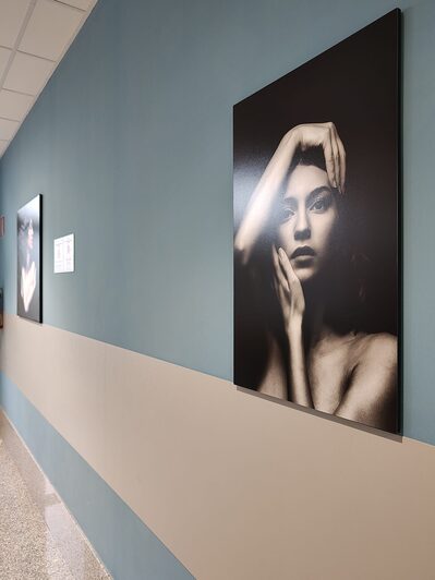 Un'immagine della mostra